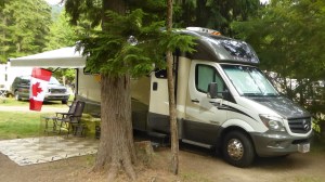 Canada Day in the woods