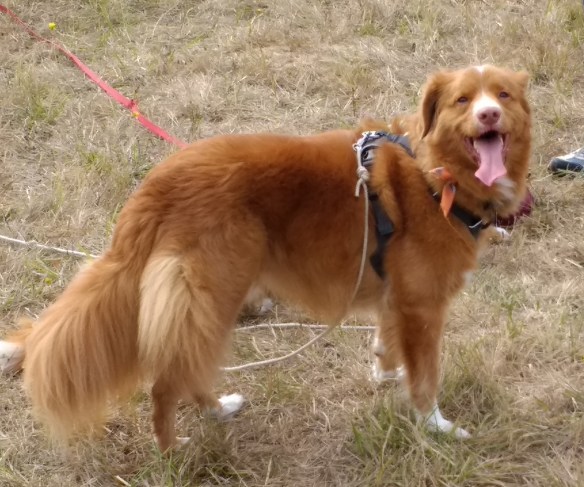 IMG_20170823_105519011_cropped