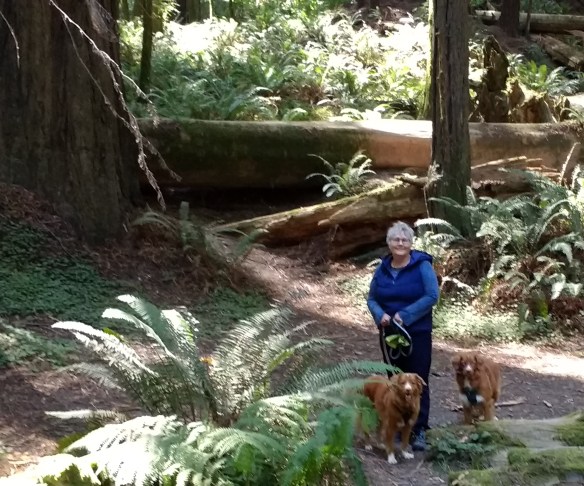 IMG_20170830_121608929_cropped